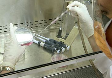 Lab worker using pipette and petri dish in lab