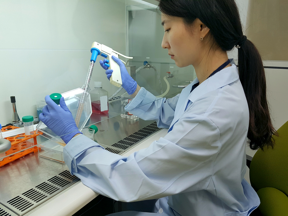 scientist pipettes an animal cell sample on a clean bench