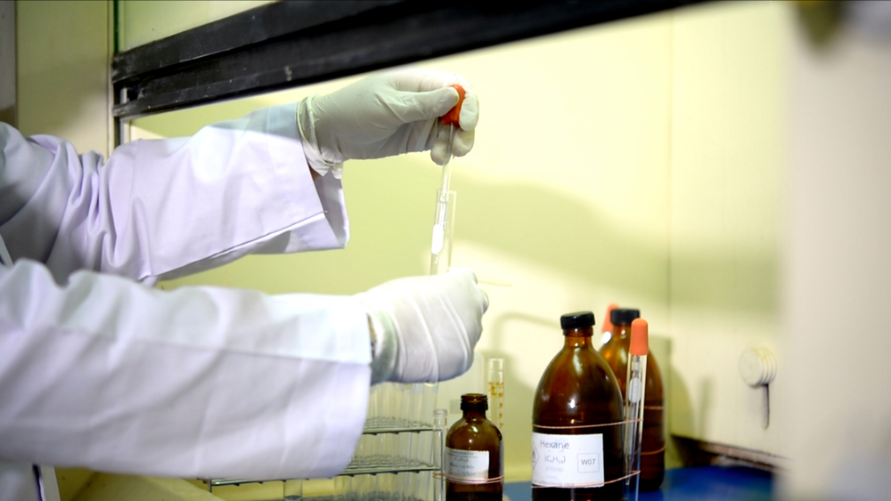 Scientists are preparing to carry through the fume hood in the lab of chemistry