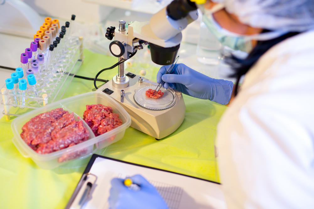Food quality control expert inspecting at meat specimen in the laboratory. Selective focus